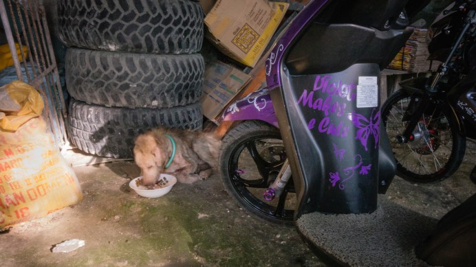 Private Ryan eating breakfast in bed